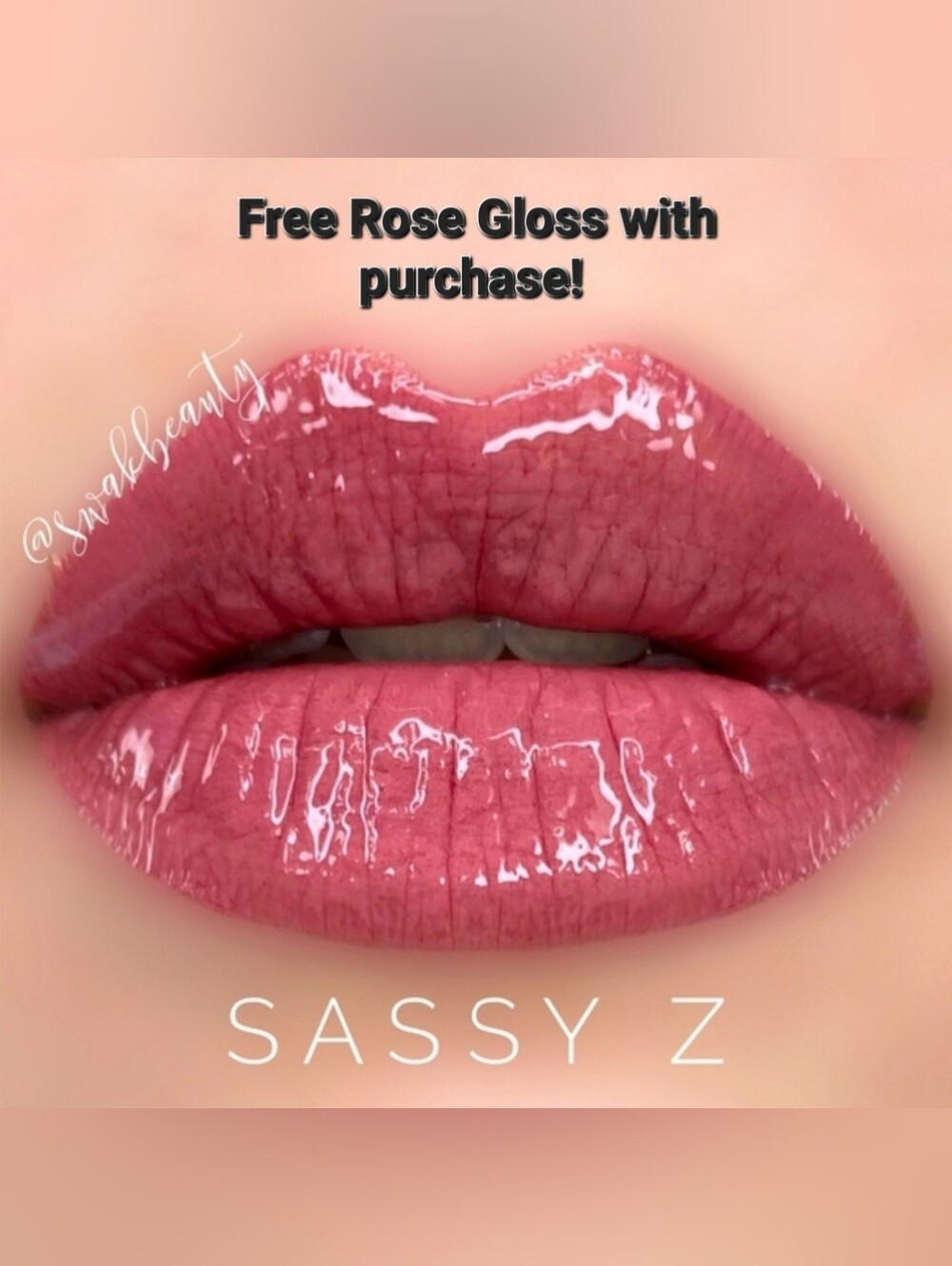 LAST ONE! SASSY Z LipSense